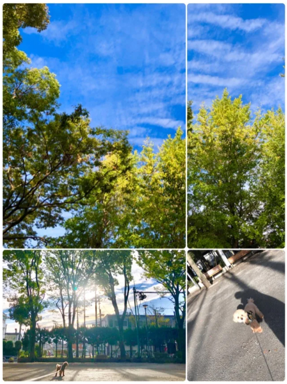 2019-09-21